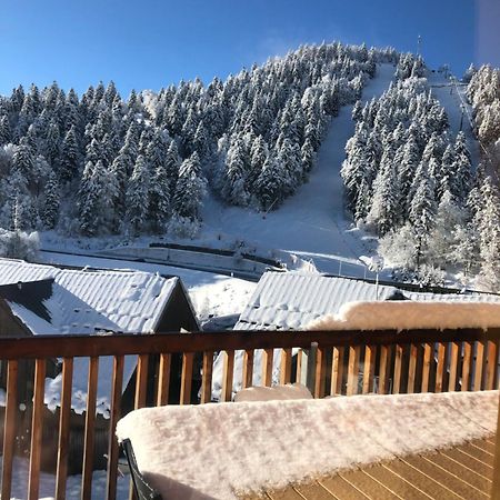 Appartement Aux Pieds Des Pistes De Ski Laveissière المظهر الخارجي الصورة