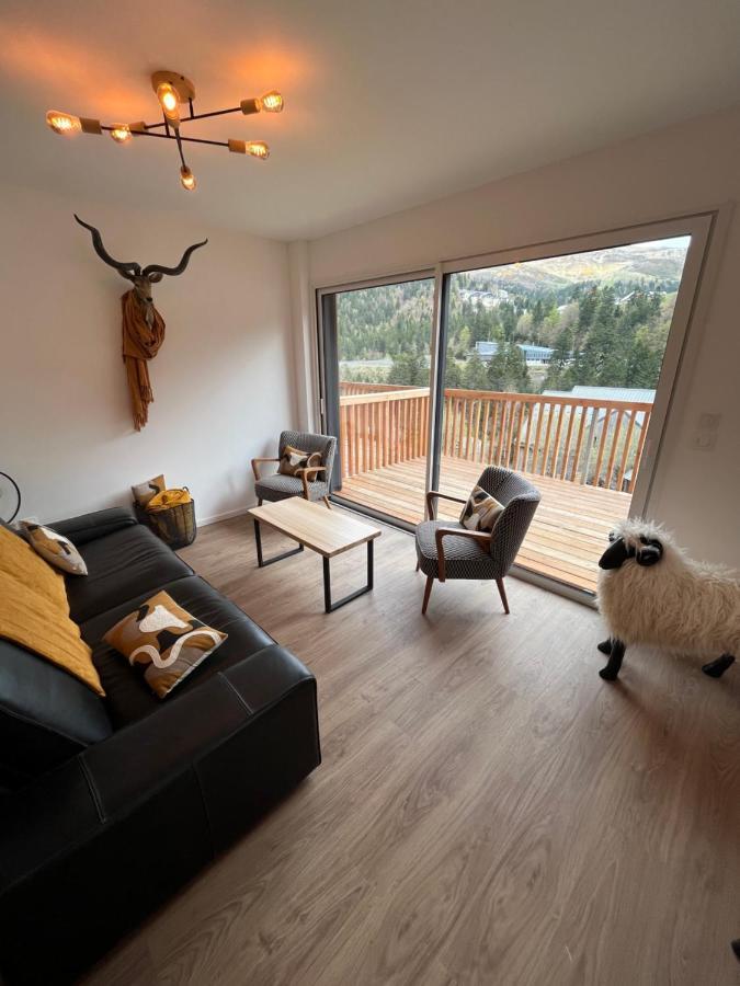 Appartement Aux Pieds Des Pistes De Ski Laveissière المظهر الخارجي الصورة
