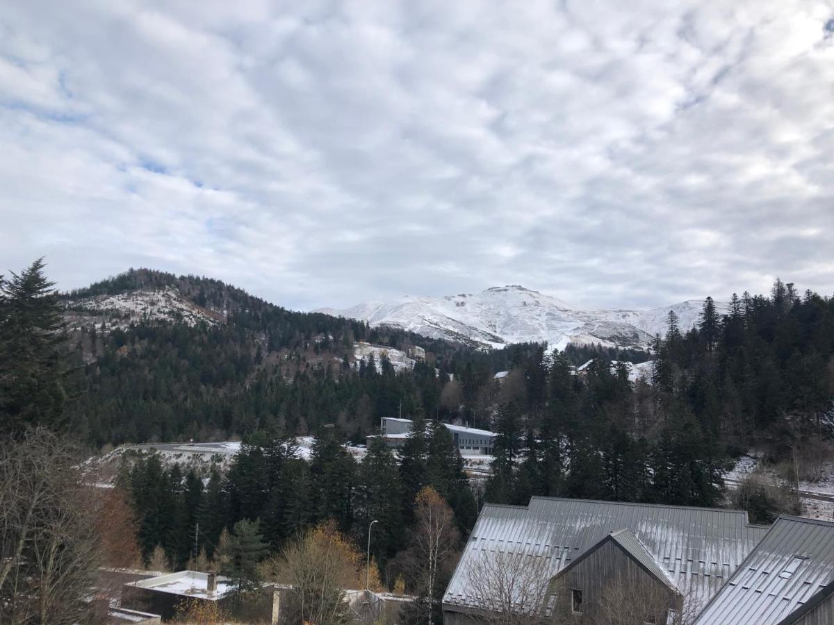 Appartement Aux Pieds Des Pistes De Ski Laveissière المظهر الخارجي الصورة