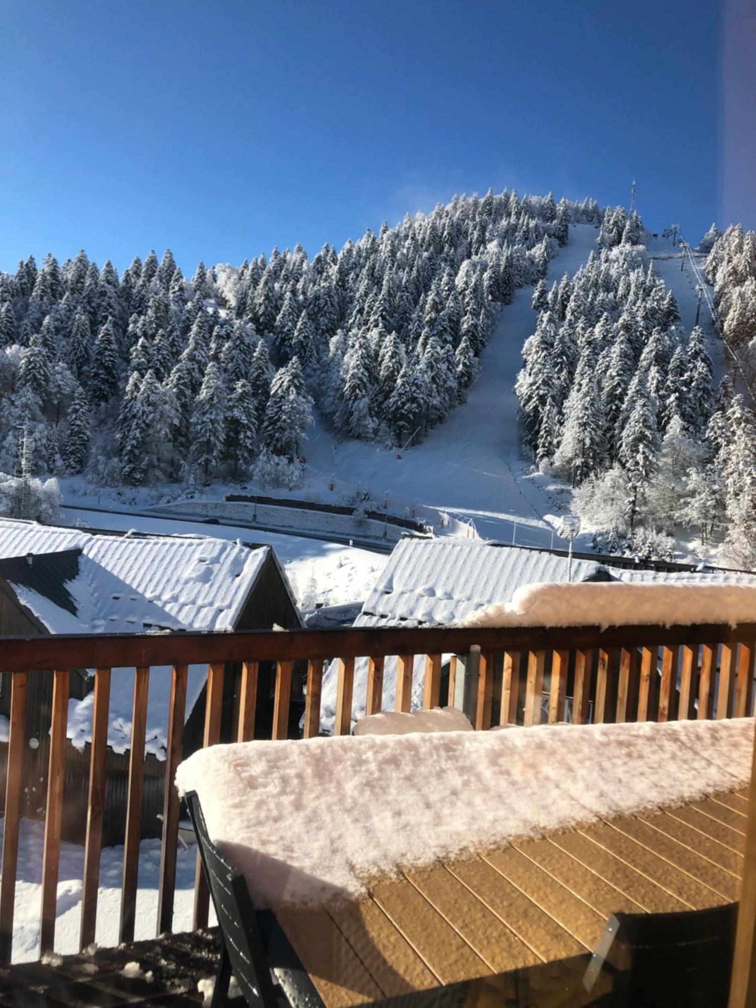 Appartement Aux Pieds Des Pistes De Ski Laveissière المظهر الخارجي الصورة