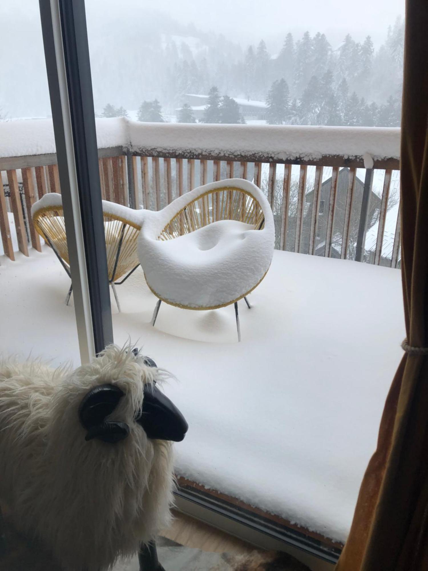Appartement Aux Pieds Des Pistes De Ski Laveissière المظهر الخارجي الصورة